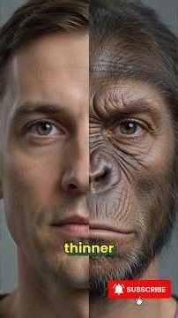 The 5 Most Intelligent Animals on Earth