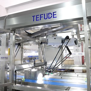 [Hot Item] Automation Robotic Packaging Robotic Packaging Systems Robot Packing Machine