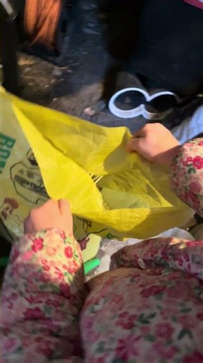 Mice are eating our food