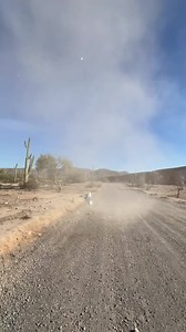 Chasing a tornado dust devil in Lukeville Arizona 🌪️😭😂😂😂😂 | Jeff Rainforth