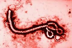 Ebola: A Collection of Multimedia Teaching Resources | KQED