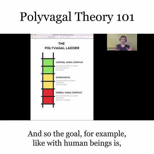 Polyvagal theory is the most important contribution to psychology since the Sermon on the Mount. Polyvagal Theory was created by Dr. Stephen Porges, PhD and then brought to the world by Deb Dana, LCSW. This video helps you understand Polyvagal 101… and this is how your nervous system works. Where do you spend most of your time? In red (dorsal) In yellow (sympathetic) In green (ventral) The goal is for ventral to hold hands with dorsal and sympathetic. Or… the goal is for green to hold hands with