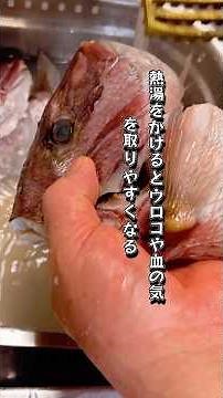 【裏技】こんなに旨い鯛のあら煮が簡単に出来る！下処理編 #料理 #cooking #japanesefood #ショート動画