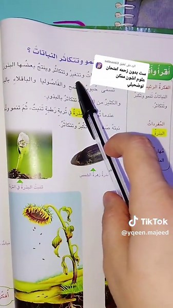 مراحل نمو الإنسان وتكاثر الكائنات الحية