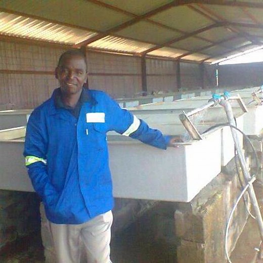 You have been wanting to start fish farming but you don't know how? Those in Angola, Botswana,Congo DR and Namibia get organized as groups then we can talk. Namibia you can plan for August and also those other interested countries not mentioned.How about contacting us on 260978979035. Email: mukasafishfarm@gmail.com | Mukasa Fish Farm