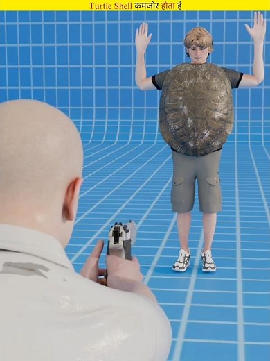 Can Turtle Shell be used as armor?