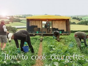 As part of our new recipe channel we'll be uploading regular how-to videos. Here's the first of many, with a summer staple; the versatile courgette. Have you subscribed to our channel yet? http://bit.ly/2b3Olgh | Riverford