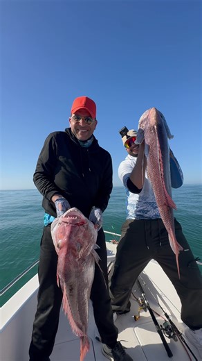 Explore la pêche en mer avec nous !