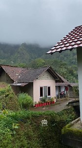 6.9K views · 149 reactions | Suasana pagi di desa yang indah #desa #nature #javavillage #suasanapedesaan #ceritaanakdesa | Peceng | Facebook