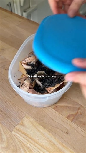 3.9K views · 91 reactions | These vegan ‘fish’ tacos are up there...