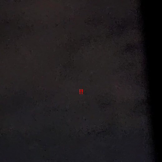 Zackycha: La Poringa de la Alegría