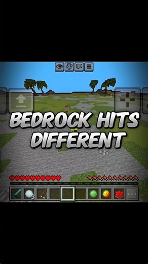 coldest mobile combo/bedrock hits different from Java☠️.