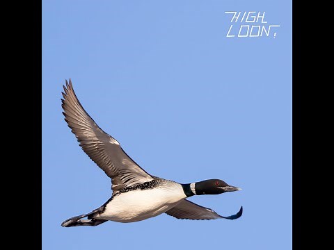 HIGH LOON! (full album)