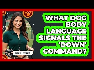 What Dog Body Language Signals The 'down' Command? - Obedient Dog Guide