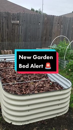 Im so excited to grow so many tomatoes in my new @vegega_garden bed this spring! I was able to customize my bed with the extra panels Vegega offers and I cant believe how sturdy this giant bed is! use Code FROMTHEGARDEN to get 10% off your order. #gardentok #garden101 #gardenbed #raisedbed #vegega #ReasonForBooking #spring2023 #growingtomatoes #fromthegarden
