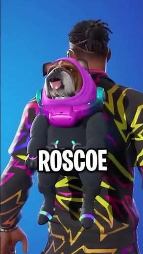 FAMOUS Pets in Fortnite!