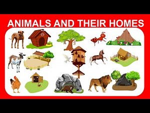 Animals and their Homes | Animal Shelters
