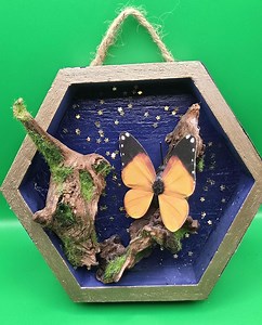 Butterfly Shadow Box - Etsy Canada