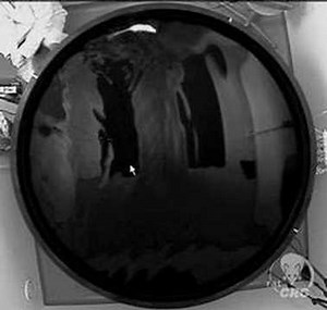 Morris Water Maze movie of a rat that will find the platform