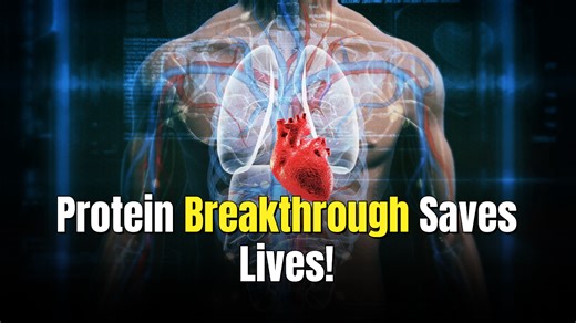 Single protein is key to treating a deadly genetic heart disease targeting young athletes