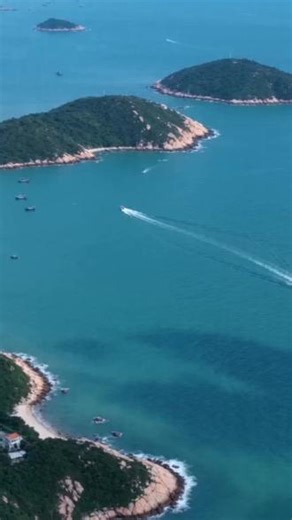 这个生晒虾皮真的太好吃了，营养又丰富 #虾皮 #营养 #海味干货