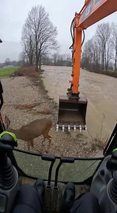 1.1M views · 15K reactions | Backhoe Operator Performs Dramatic...