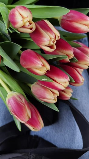 #tulips #flowers #floral #tulip