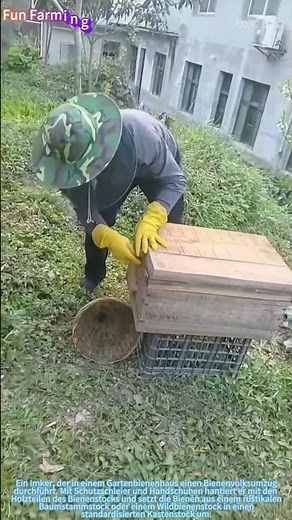 Der Bienenstockumzug: Bienen in ein neues Zuhause bringen