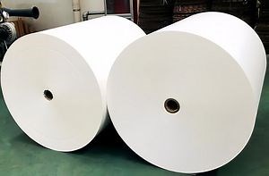 Professional High Quality PE Coated Paper