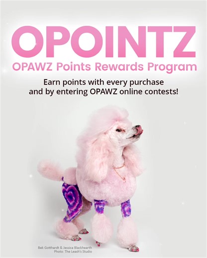 🌟 Introducing OPOINTZ the new OPAWZ rewards system! 🌟 Save money and enjoy discounts by earning points on your regular purchases! 👉 Enjoy 2 opointz for every dollar you spend, collected automatically and saved on your OPAWZ account ✨ To start collecting points, simply make and activate an account here: www.opawz.com 🔗 Link in bio. If you already have an account with us, just make to log in before placing orders to collect points on your purchase 🐾 You can also collect tons of points by part