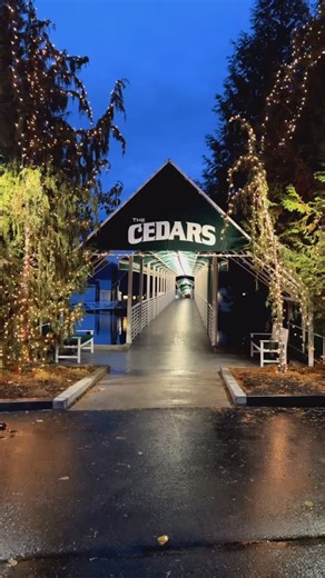 🎄🥂 Celebrate the season your way at Cedars—where every event feels festive, memorable, and worth raising a glass to. #cedarsfloatingrestaurant #cdaeats #cedars #waterfrontdining | The Cedars Floating Restaurant