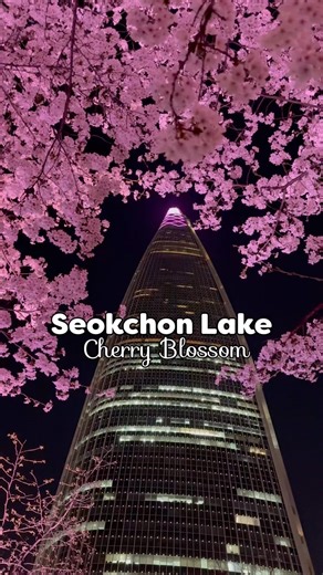 Cherry blossom at night - Seokchon Lake Seoul 🌸