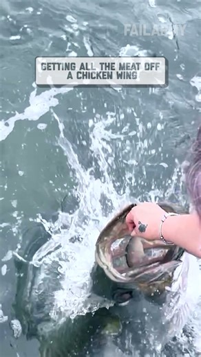 77K views · 503 reactions | They didn't expect that reaction  | Fails of the Week | Facebook