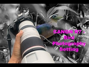 CANON R7 - Bird Photography Setting