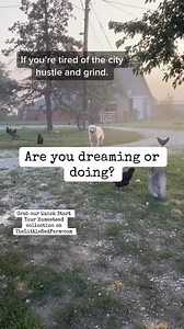 1.5K views · 16 reactions | New adventures are out there. Is 2025 the year you start doing instead of dreaming? Grab our Quick Start Your Homestead Collection on TheLittleRedFarm.com under homestead help and check out our Farm Store and online farmer’s market! #reallife #farmstore #homestead #chickens #farmlife #farmersmarket #milkcow #greatpyrenees #onthisday | The Little Red Farm | Facebook