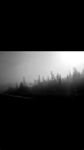 What do you think would be creeping in the forest waiting for you? Short story that seems fitting: The woods behind the old farmhouse were never silent, but tonight, they were screaming. Locals called it the "Watcher," a presence that mimicked human sounds to lure people in. Elara walked the treeline, searching for her dog, when she heard her daughter’s voice—deep, distorted, and wrong—whispering from the shadows, "Come see the trees, mama." The voice sounded like her daughter, but with a horrif