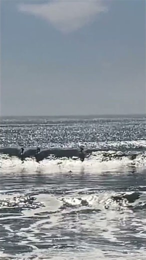 Three #surfers take off on a big #wave in Santa Cruz, California (Fall 2025)