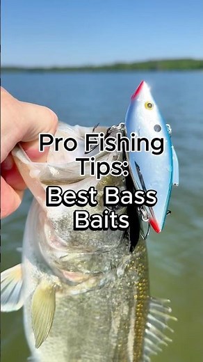 How to Pick the Best Bass Baits for any Conditions #fishing