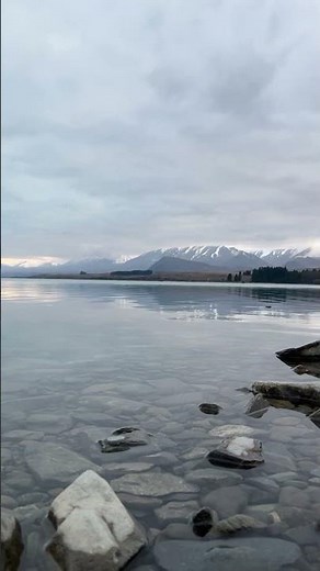 Lake Wanaka NZ: lone willow tree standing in still turquoise alpine mountain water 4K