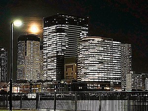 ウイルス誘発性肺病因における ILC2 の役割: