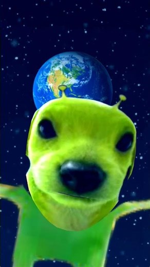 wait for end#memes #xd