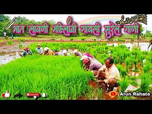 भात लावणी करताना पुरुषांन सोबत महिलांनीहि गायली सुरेल गाणी || कोकणची भात लावणी | भाग २ | Bhat Lavani