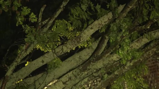 Severe storms batter North Georgia: Fannin County cancels schools