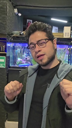 ¿16GB vs 12GB en gráficos? La verdad revelada