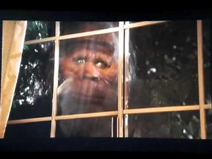 Harry And The Hendersons Chicken Scene