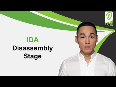 IDA Disassembly Stage | E-SPIN
