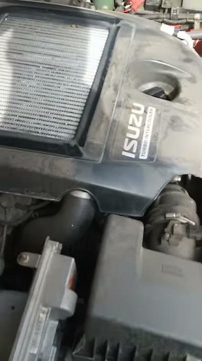 2008 Isuzu KB300 DTeq Tapping Noise due to loose Swirl/EGR Flap screw