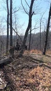 McGuire’s Candy Kisses at White Hawk Ridge 3/25/26