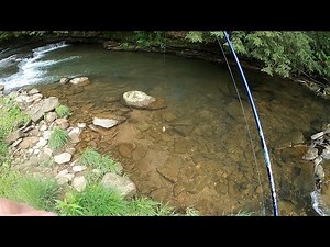 TROUT FISHING Small Pennsylvania Creeks For Big Trout #troutfishing #trout #fishing