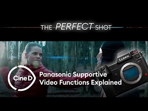 The PERFECT Shot - Panasonic's Supportive Video Functions Explained